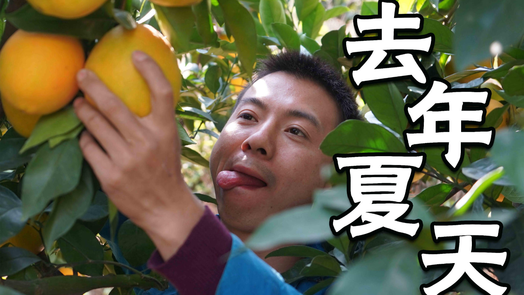 【华农兄弟】去年夏天【出道616】祝AcFun13周岁生日快乐!